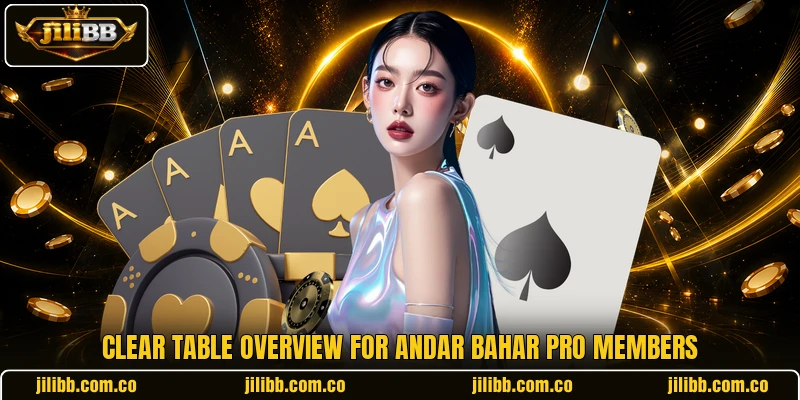 Clear table overview for Andar Bahar Pro members