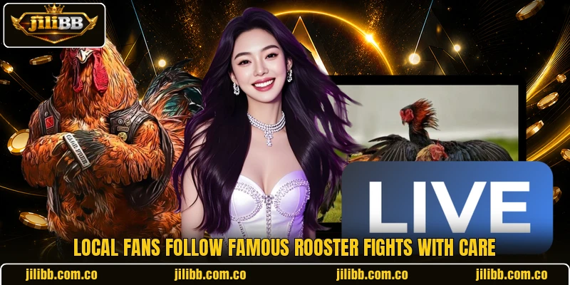Local fans follow Famous rooster fights with care Local fans follow Famous rooster fights with care