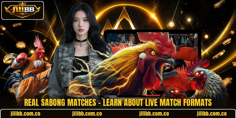 Real Sabong Matches - Learn About Live Match Formats