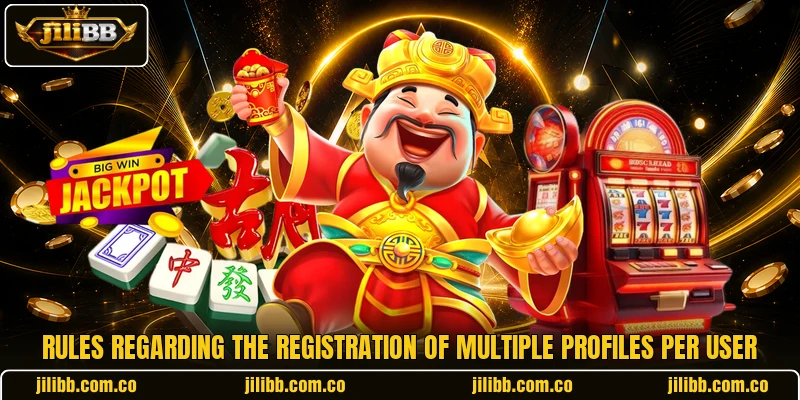 Rules regarding the registration of multiple profiles per user Rules regarding the registration of multiple profiles per user
